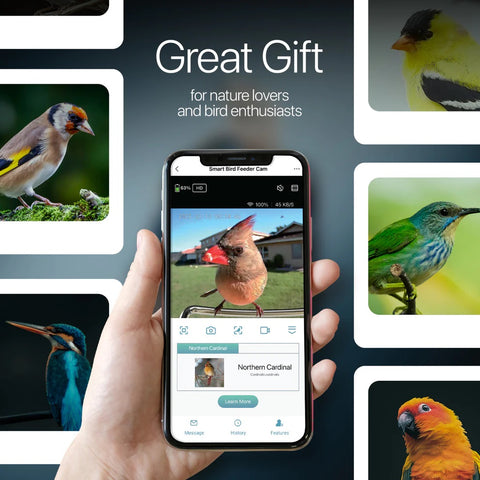 Great Gift for Nature Lovers and Bird Enthusiasts