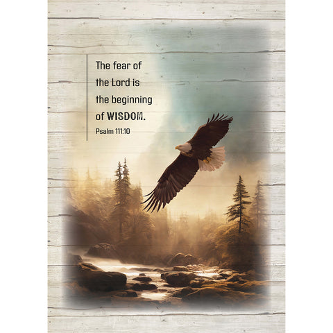 Eagle Fleece Throw 50x70 Inch CC761
