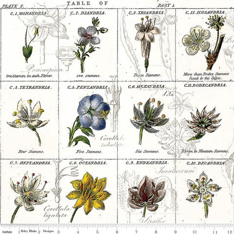 Sewing Seeds Collection Flower Classes Cotton Fabric CD15684