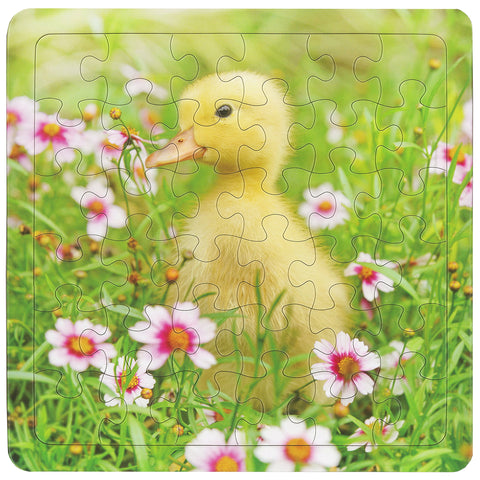 Downy Duckling 36-Piece Puzzle CH8425