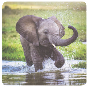 Splashing Elephant 36-Piece Frame Tray Puzzle CH8520