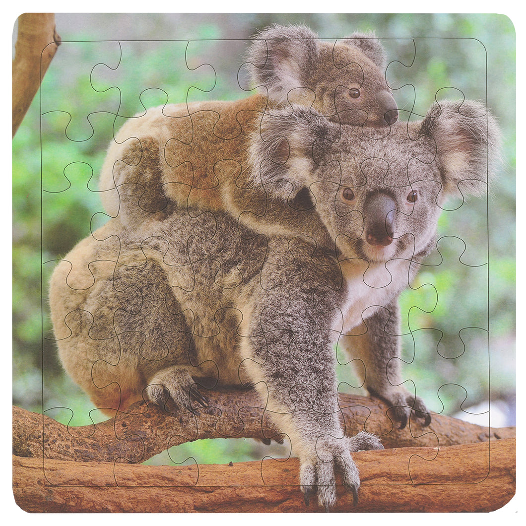 Inquisitive Koala 36-Piece Frame Tray Puzzle CH8521