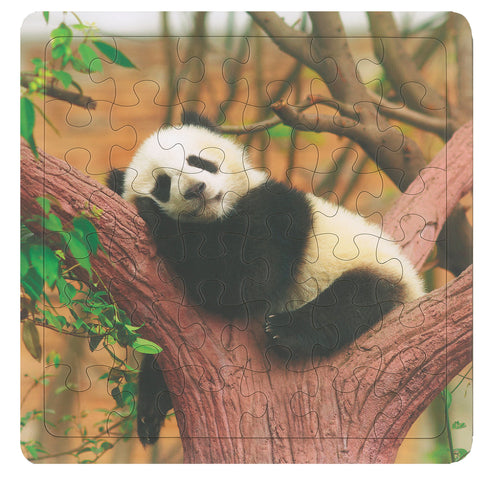 Panda's Naptime 36-Piece Frame Tray Puzzle CH8524