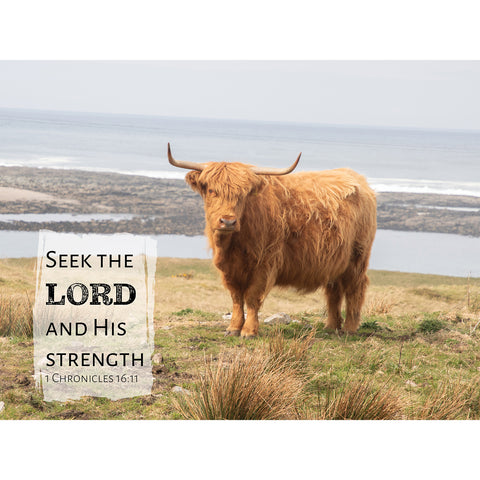 Ireland's Highlander 500-Piece Puzzle CH8565