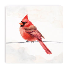 Cardinal Coaster