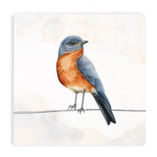 Robin Coaster