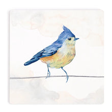 Blue Jay Coaster