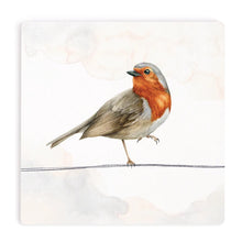 Brown-Headed Thrush Coaster