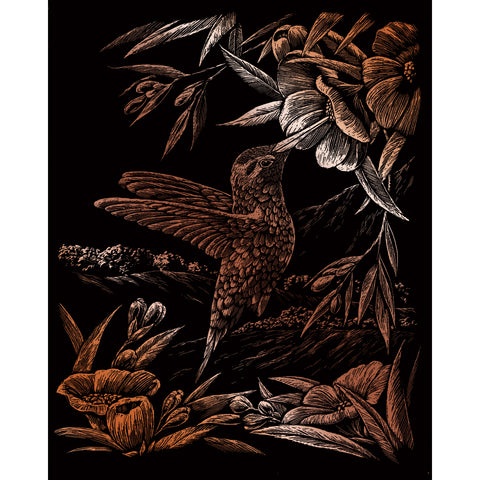 Hummingbird picture