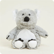 Koala Microwavable Soft Plush Toy CP-KOA-1