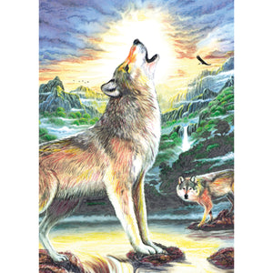 Wolf picture