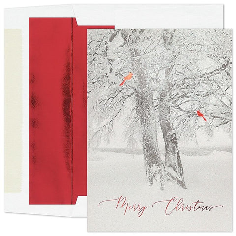 Cardinal Tree Boxed Christmas Cards 978200