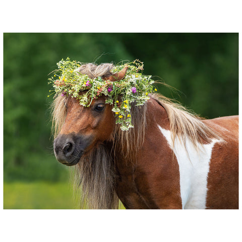 Pony's Flower Crown 12-Piece Frame Tray Puzzle CH8607