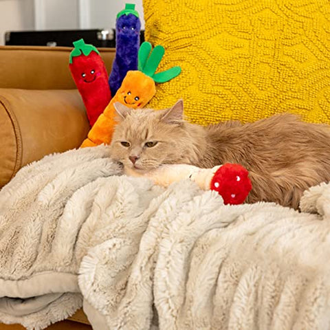 Claws Kickerz Carrot Cat Toy - Small