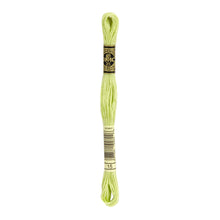 Apple Green Embroidery Floss