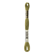 Medium Khaki Green Embroidery Floss