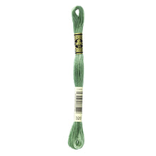 Medium Pistacho Green Embroidery Floss