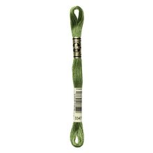 Medium Yellow Green Embroidery Floss