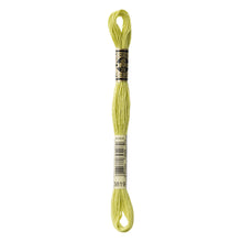 Light Moss Green Embroidery Floss