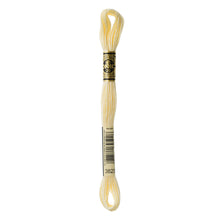 Ultra Pale Yellow Embroidery Floss