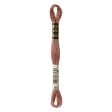 Light Rosewood Embroidery Floss