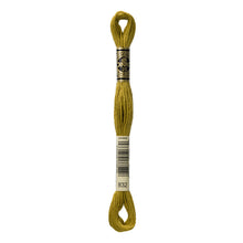 Golden Olive Embroidery Floss