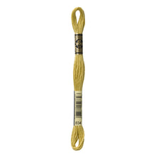 Very Light Golden Olive Embroidery Floss