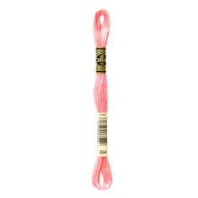 Very Light Carnation Embroidery Floss