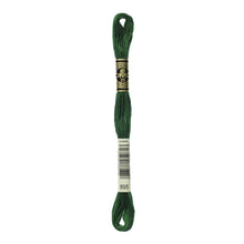 Very Dark Hunter Green Embroidery Floss