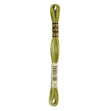 Variegated Khaki Green Embroidery Floss