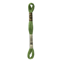 Medium Forest Green Embroidery Floss