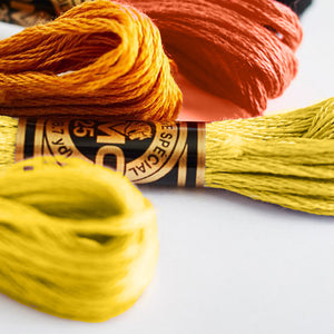 Embroidery Floss - Oranges & Yellows D-117