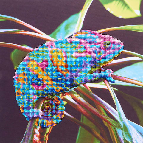 Intermediate Diamond Art Kit Chameleon DMA56774