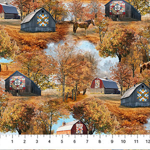 Barn Quilts Collection Scenic Cotton Fabric DP27316-34