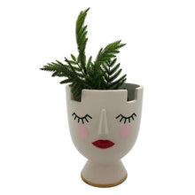 Lady Hold All/Planter with plant