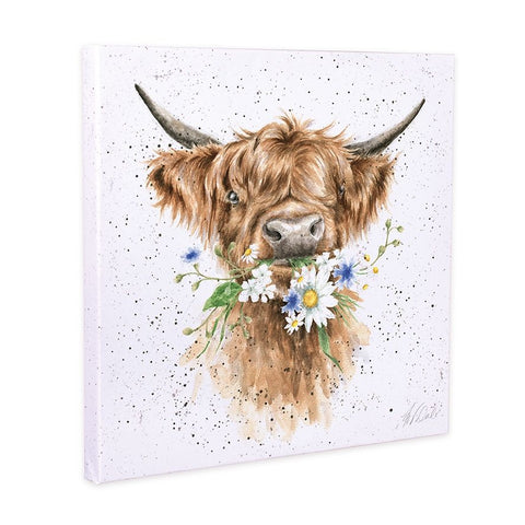 Daisy Cow Canvas CANSCS150