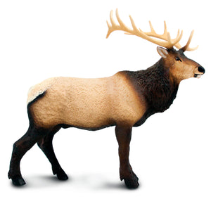 Elk 100303