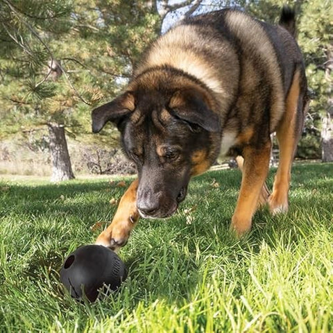 Extreme Ball Puncture Resistant Dog Toy