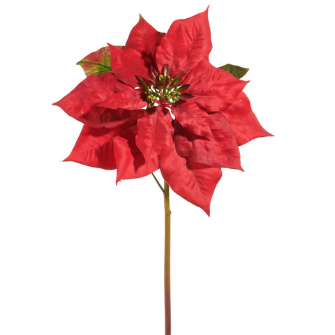 Red Poinsettia Stem F4541890