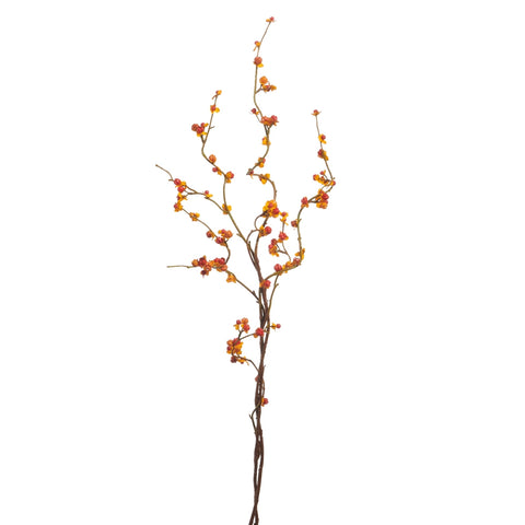 Orange Berry Branch F4542103