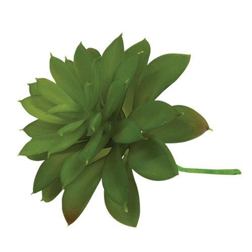 Succulent Pick F61121063