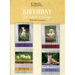 Small Creatures Birthday Boxed Cards FT22576