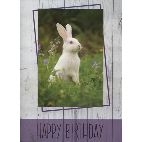 Card 2