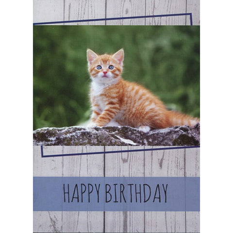 Card 3