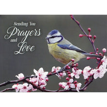 Front of Card 1: Sending You Prayers and Love, Bird Perched on Cherry Blossom Branch