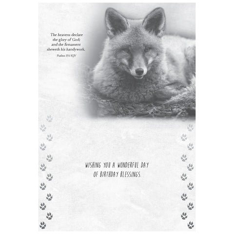 Wild Animals Birthday Boxed Cards FT22688 inside card 3