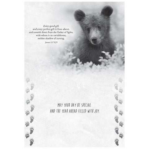 Wild Animals Birthday Boxed Cards FT22688 inside card 4