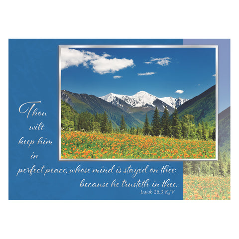 Beautiful World Encouragement Boxed Cards FT22690 front of card 1