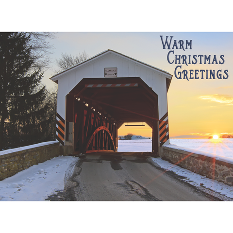 FT22710 Snowy Bridges_4.png