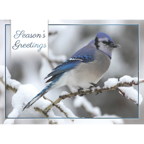 FT22713 Winter Cheer_6.png